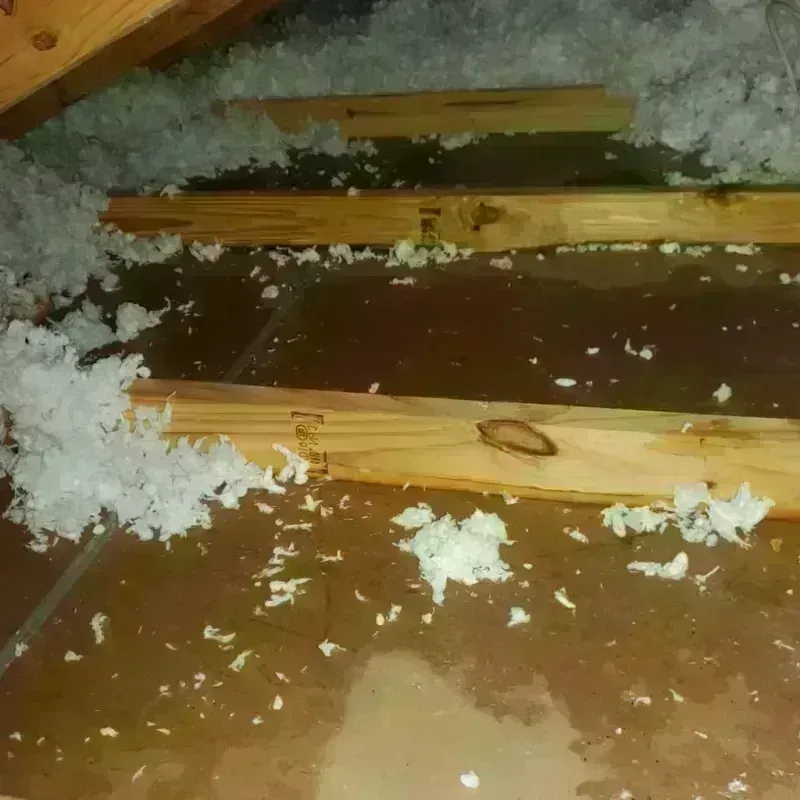 Attic Water Damage in Rosendale, WI