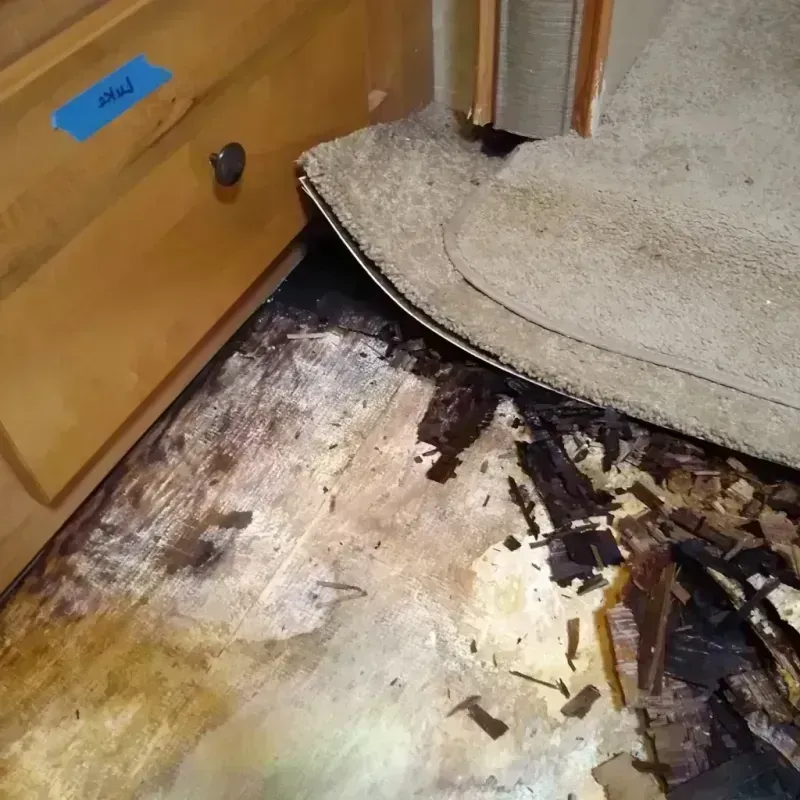 Best Wood Floor Water Damage Service in Rosendale, WI